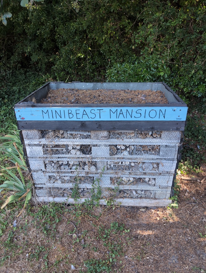 Minibeast Mansion
